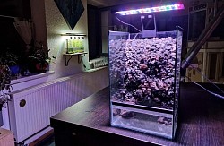 Wasserfall Paludarium