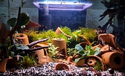 Für Aquarien geeignet