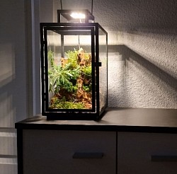 Für Flaschengarten & Wabikusa geeignet